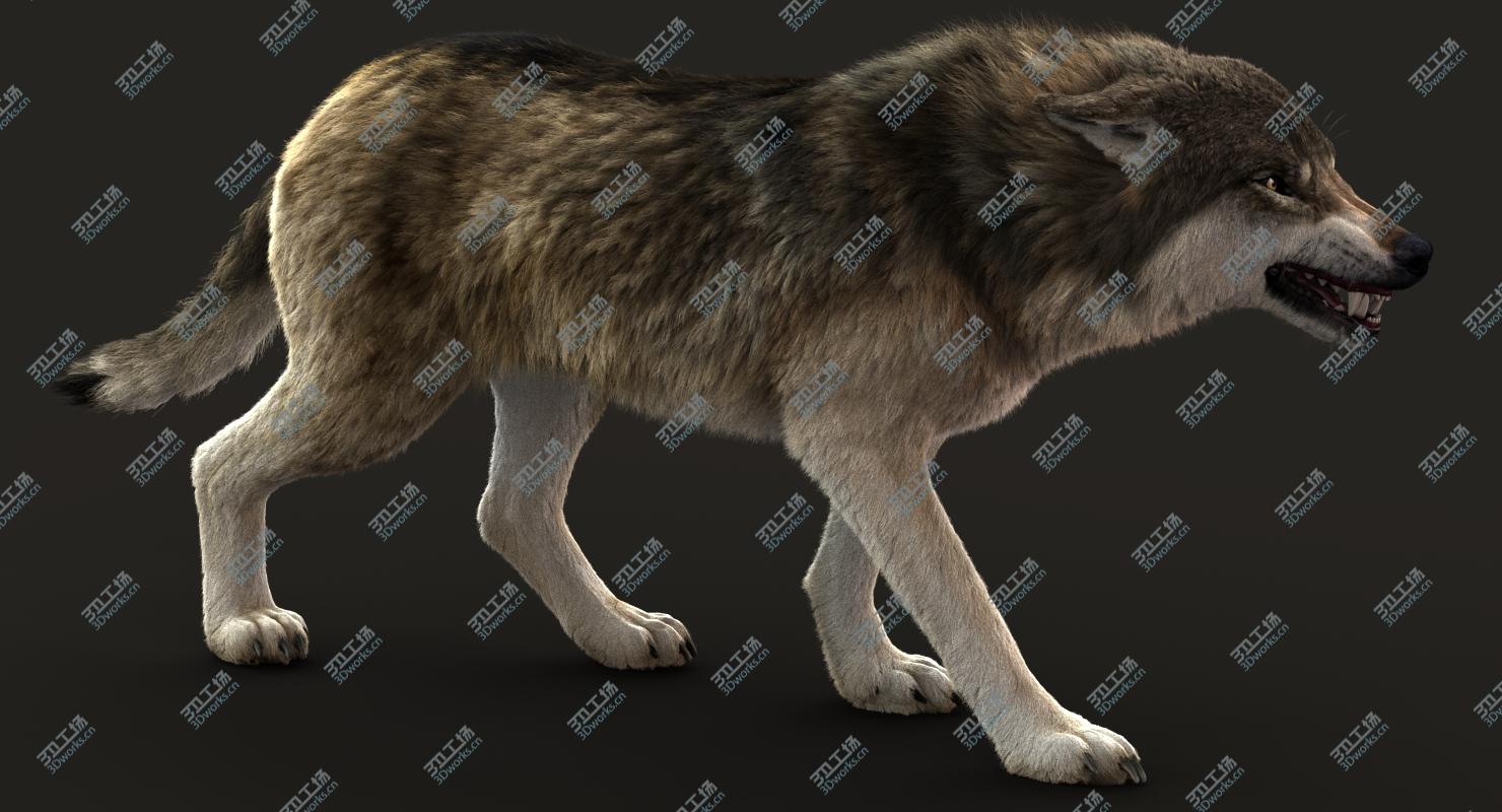 images/goods_img/20210113/Wolf 3 RIG FUR model/2.jpg